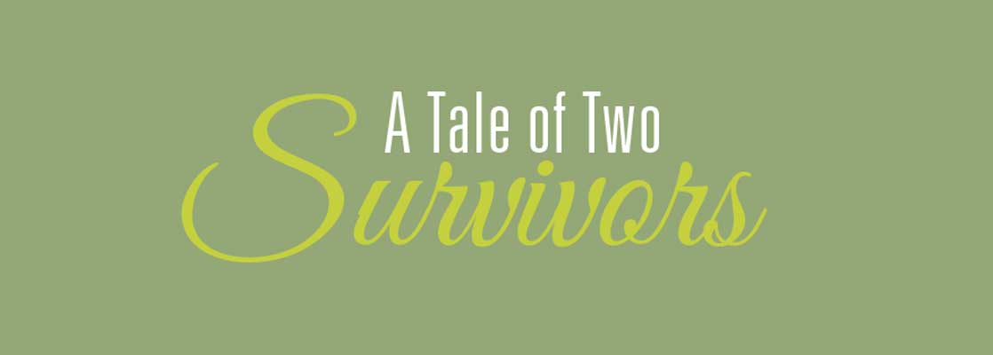 Image saying 'A Tale of Two Survivors