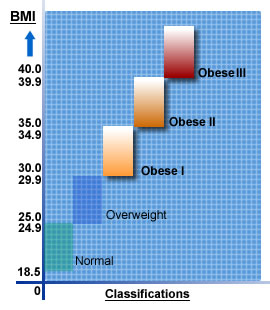 Obesity graph chart