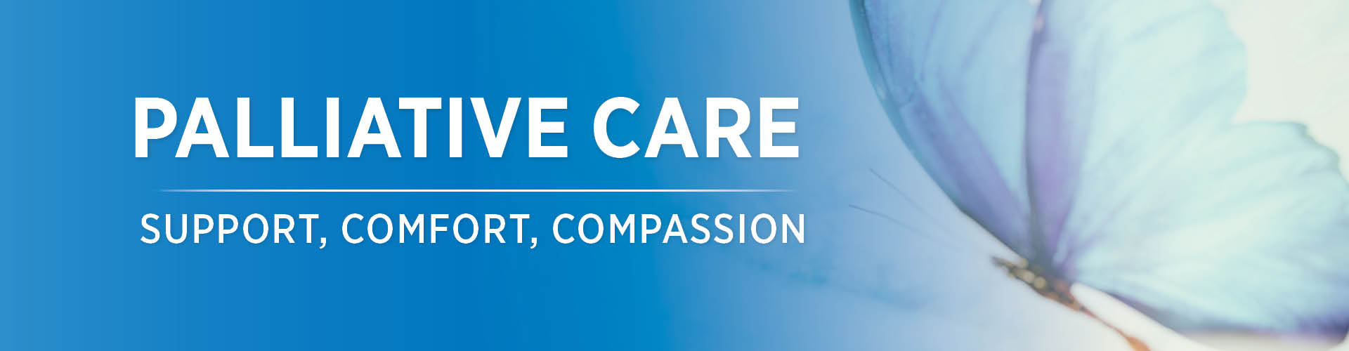 Palliative Care: Support, Comfort, Compassion