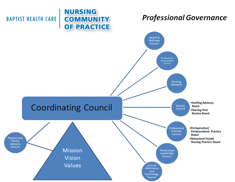 Professional Governance Graphic